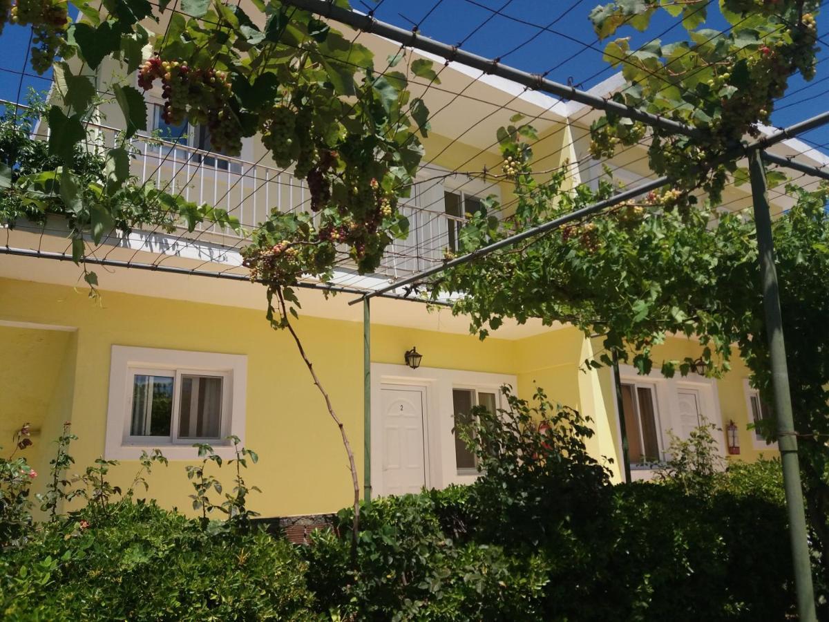 Amadeus Hawaii Apartments & Studios Sidari  Exterior photo
